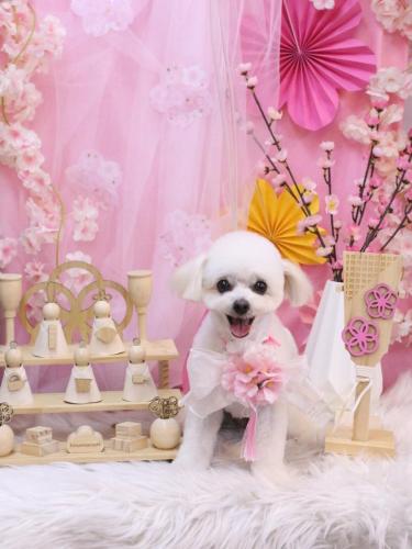 20250319小雪ちゃん